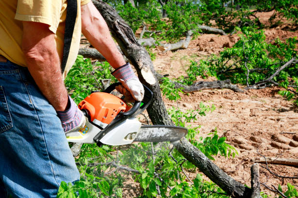 Best Tree Trimming and Pruning  in Mountainside, NJ